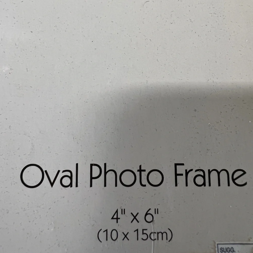 New 4 x 6 Oval Frame Studio Nova Tuscany Silver
